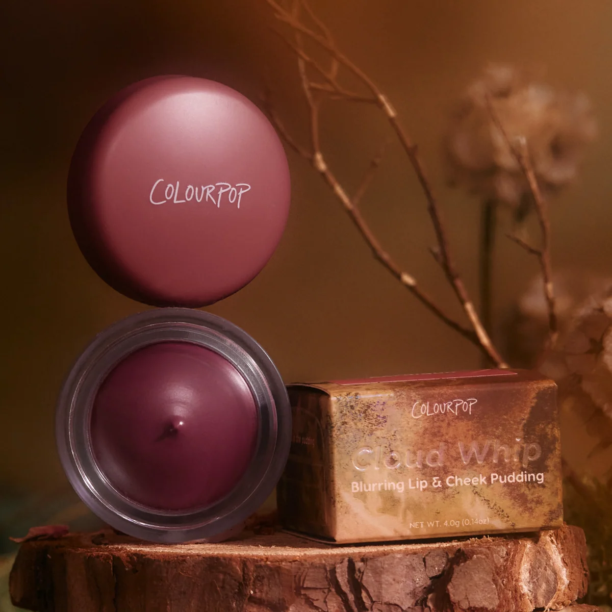 ColourPop Spiced